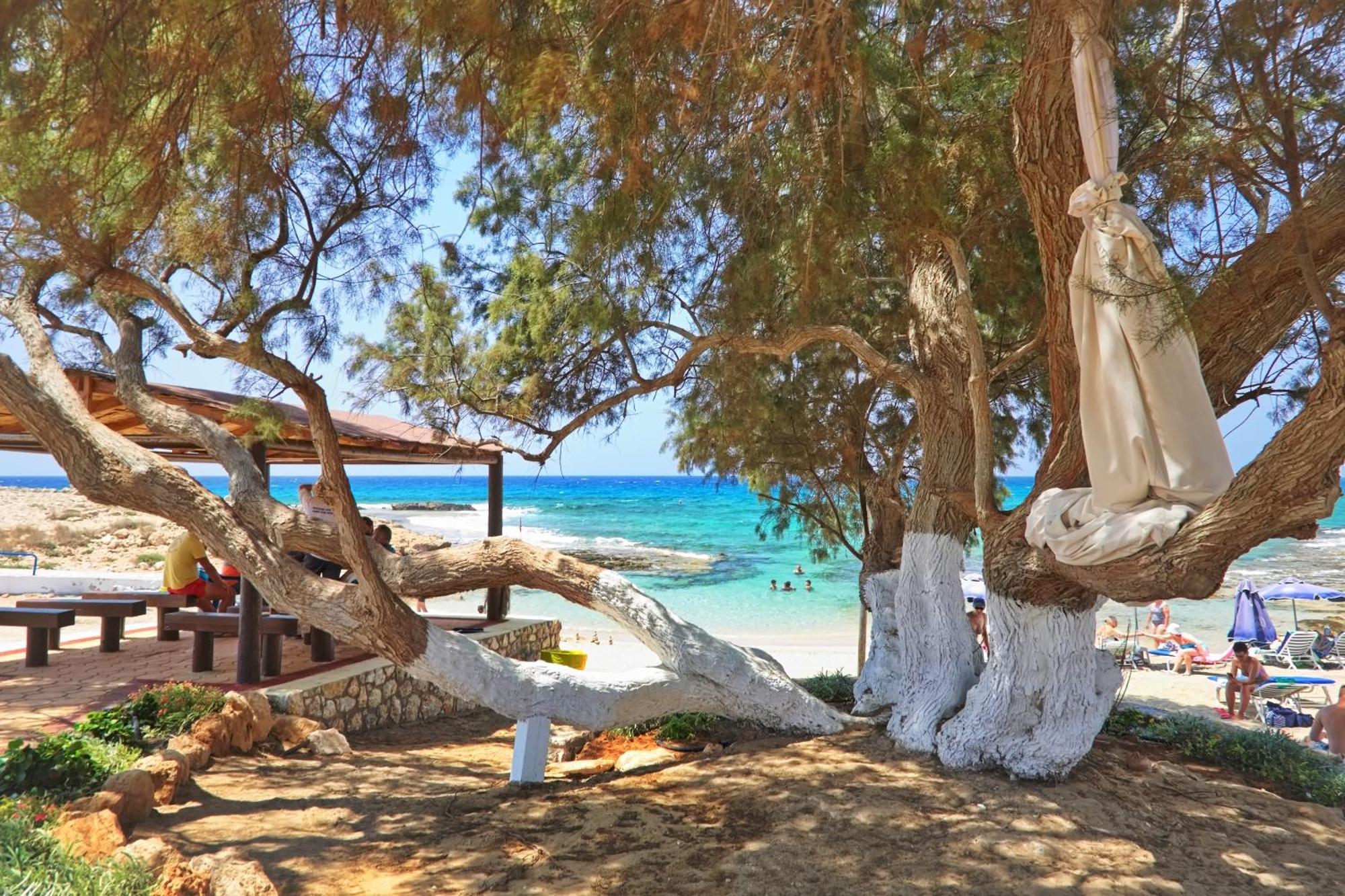 Sea Pearl Beachfront Villas - Breeze Ayia Napa Exteriér fotografie